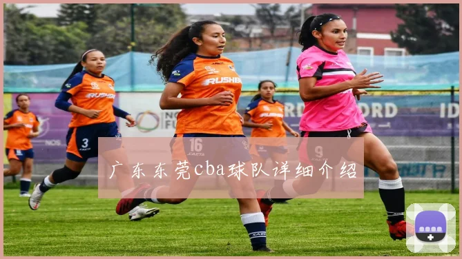 广东东莞cba球队详细介绍