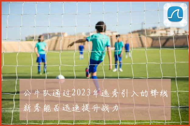 公牛队通过2023年选秀引入的锋线新秀能否迅速提升战力