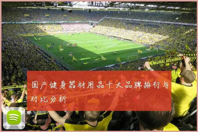 国产健身器材用品十大品牌排行与对比分析